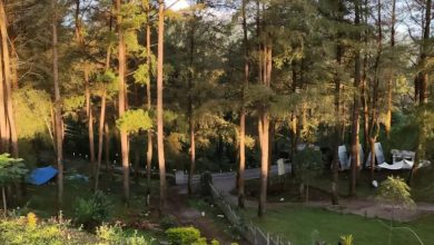 Kawasan Wisata Puncak Malino Camp Jadi Magnet Bagi Wisatawan Yang Rindau Udara Pegunungan
