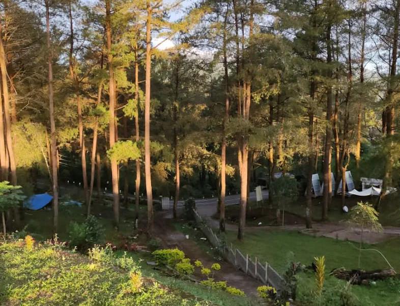 Kawasan Wisata Puncak Malino Camp Jadi Magnet Bagi Wisatawan Yang Rindau Udara Pegunungan