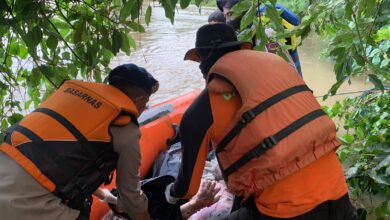 Bocah Korban Tenggelam Disungai Walanae Ditemukan Tim Sar
