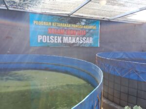 Kolam ikan lele Polsek Makassar manfaatkan lahan kosong guna ketahanan pangan
