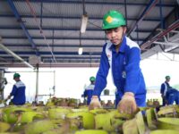 Waspada! Hoaks Pendaftaran Pangkalan LPG 3 Kg Berbayar Beredar, Pertamina: Gratis dan Tanpa Pungutan